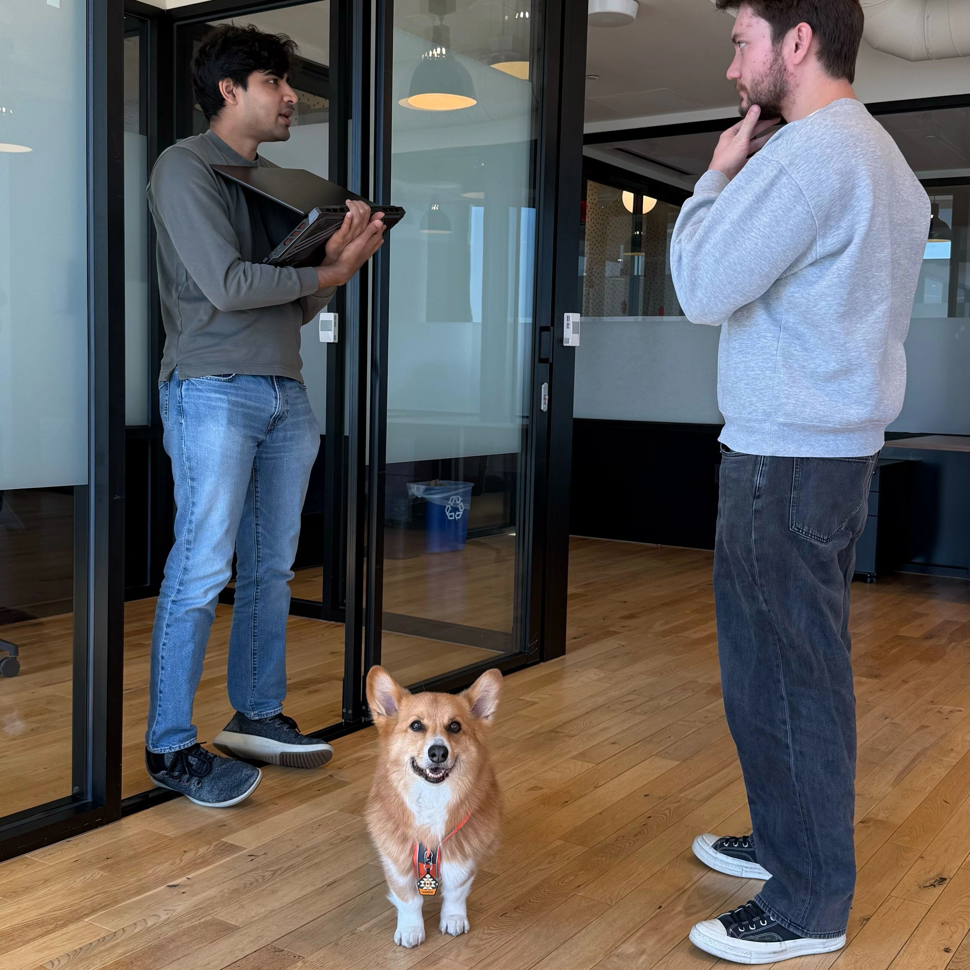 Two teammates and the office dog in a sunlit room
